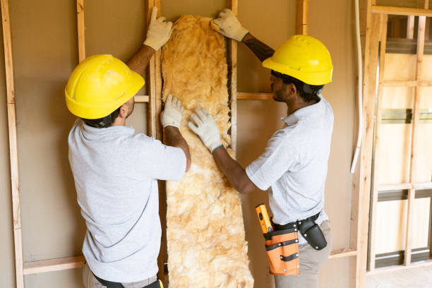 Best Insulation Replacement Services  in Walnut Creek, OH